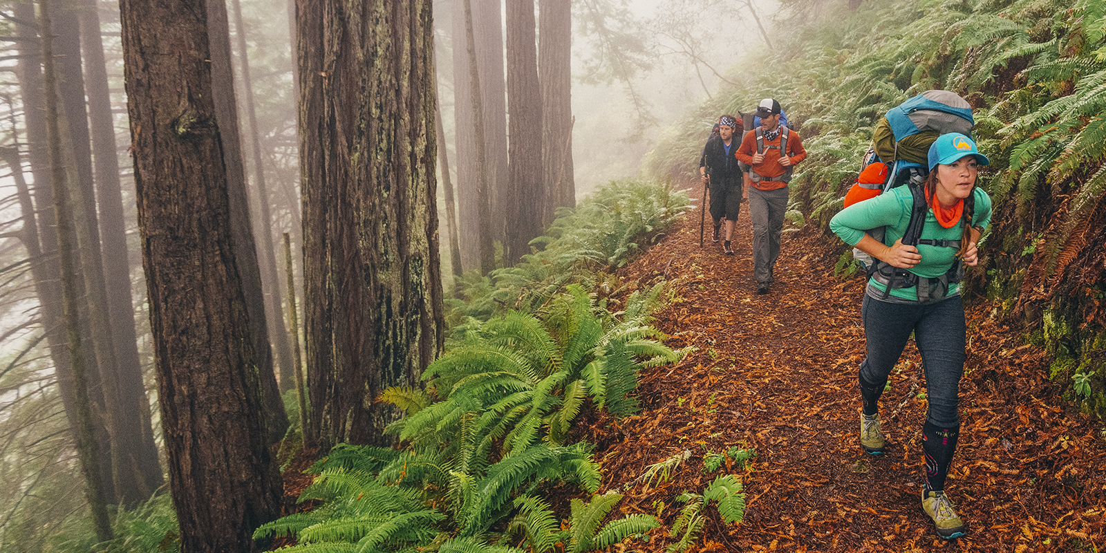 Backpackers hike on a trail through a foggy forest on the Lost Coast Trail in Sinkyone Wilderness State Park in Northern California.